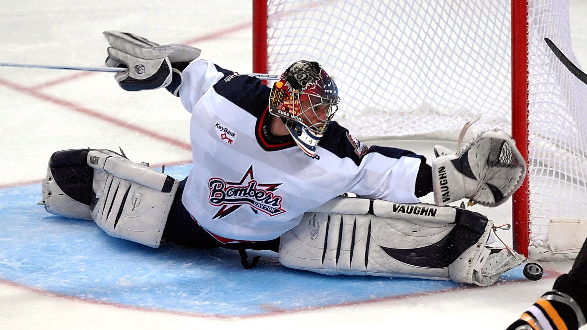 浙江雄狮凭借团队合作和稳定发挥稳步前进,浙江雄狮服务队